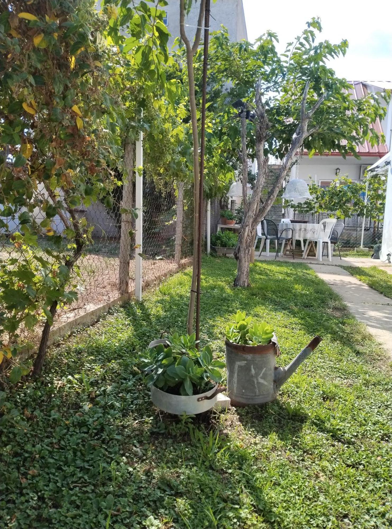 Θαλασσινή Αυρα Villa Vrasná Екстериор снимка
